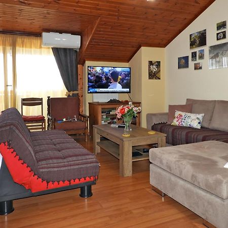 Apartament Panoramaloft - Quality, View, Sea & Mountain Litochoro Zewnętrze zdjęcie