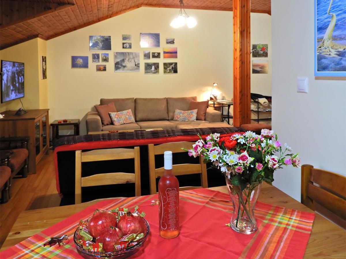 Apartament Panoramaloft - Quality, View, Sea & Mountain Litochoro Zewnętrze zdjęcie